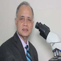 Prof. Dr. Ashim Ranjam Barua