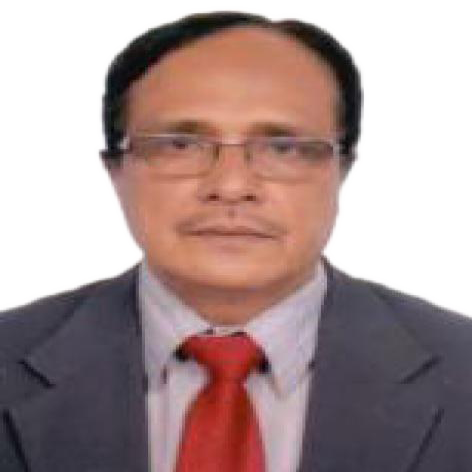 Prof. Dr. Ayub Ansari - General Surgeon in Mirpur