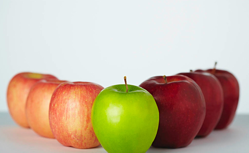 ৮টি খাবার যা আপনার ডায়েটকে করবে সুস্বাদু এবং মজাদার!