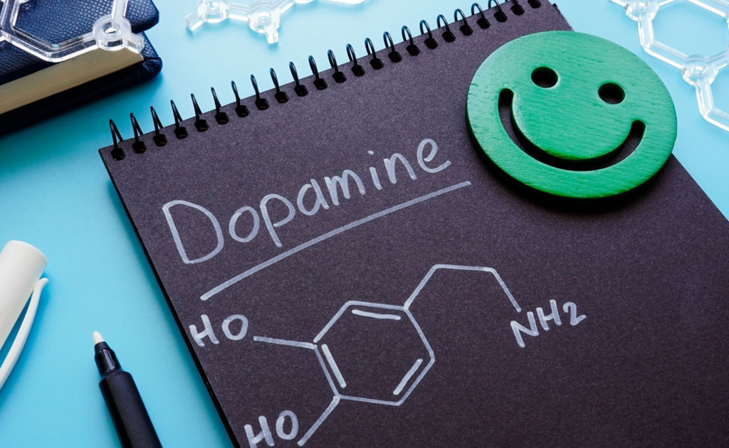 সোশ্যাল মিডিয়ার আসক্তি দূর করে মানসিক সুস্থতার জন্য ডোপামিন ডিটক্স!