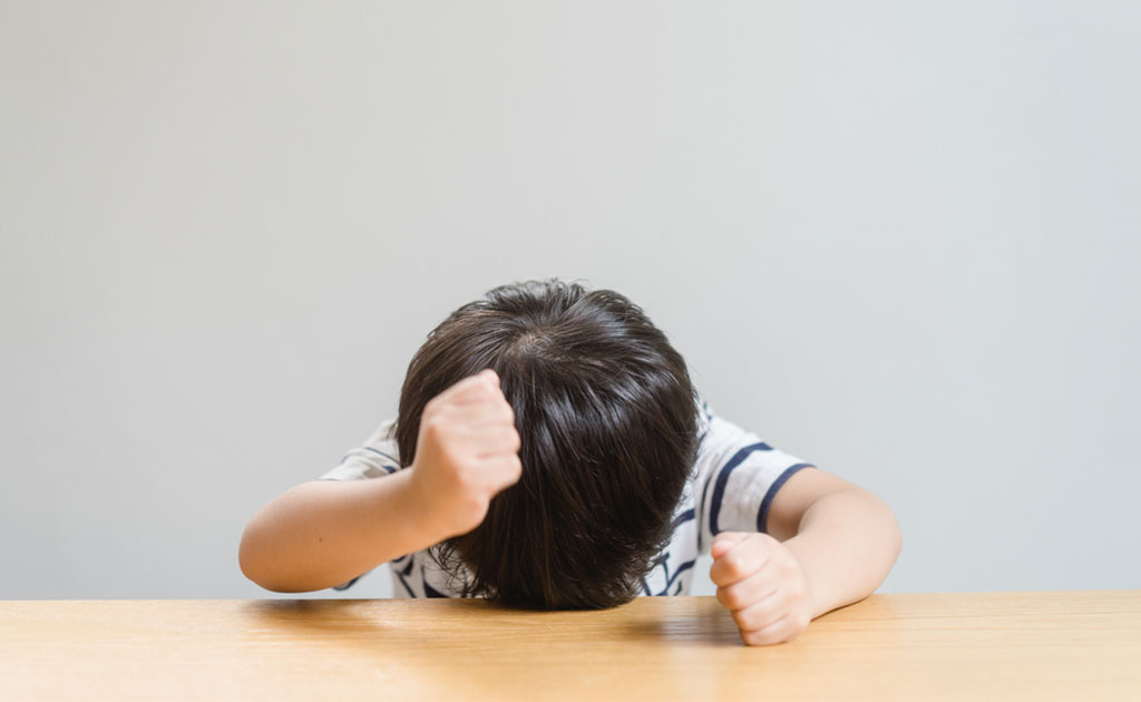 টেরিবল টু | বাচ্চার অতিরিক্ত জেদ কীভাবে সামলাবেন?